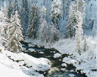 cascades_snow6.jpg (74216 bytes)