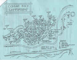 cougar_rock1.jpg (357948 bytes)