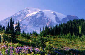 cougar_rock7.jpg (101026 bytes)