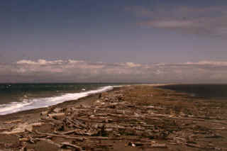 dungeness_4.JPG (39005 bytes)