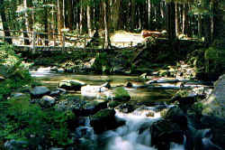 hotspring_4.jpg (58388 bytes)