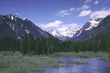 kachess_lk.JPG (39801 bytes)