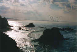 newport2.jpg (57861 bytes)