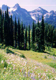 paradise2.jpg (107877 bytes)