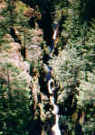 paradise8.jpg (76580 bytes)