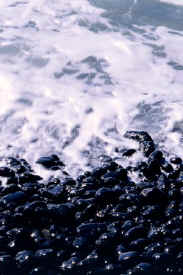 pebble_beach_2.jpg (45838 bytes)