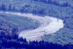 rainforest_11.jpg (44835 bytes)