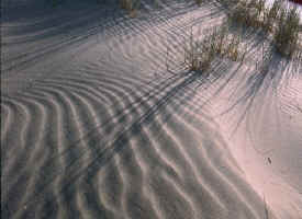 sand_dunes_1.jpg (60730 bytes)