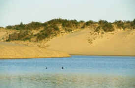 sand_dunes_3.jpg (41976 bytes)