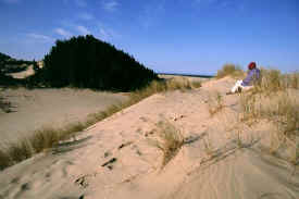 sand_dunes_4.jpg (45303 bytes)
