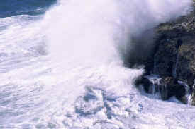 wave_1.jpg (43725 bytes)