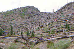windy_ridge3.jpg (93820 bytes)