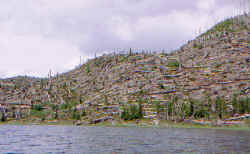 windy_ridge5.jpg (82760 bytes)