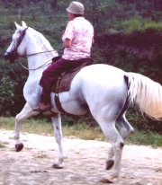Maria Irene montanda em Sama Derby