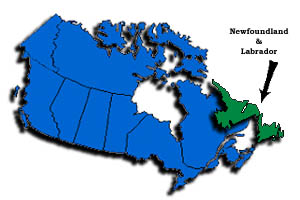 NfMap.jpg (19193 bytes)