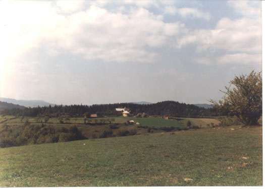 COMANDAU - VEDERE GENERALA