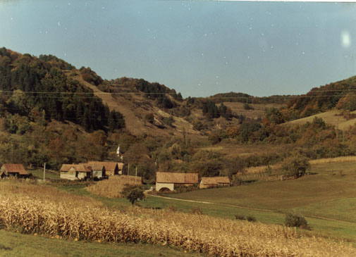 SATUL UILAC