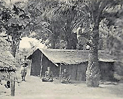 Palmwine