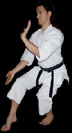 Neko ashi dachi