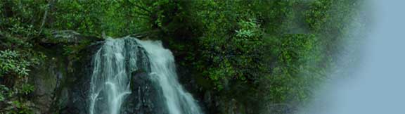 Woodland Falls