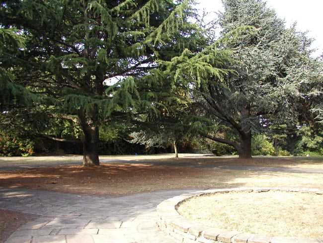 Plumstead-19