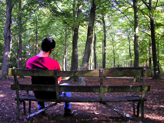 Plumstead-woods-13