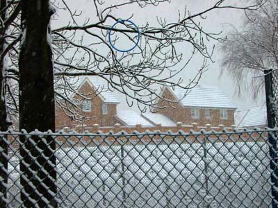 snowed_roofs
