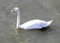 Plumstead-river-front-20