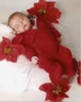 Christmas Photos (19kb)