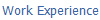 Work Experience
