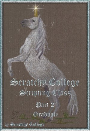 VBScript Graduation with Scratchy College