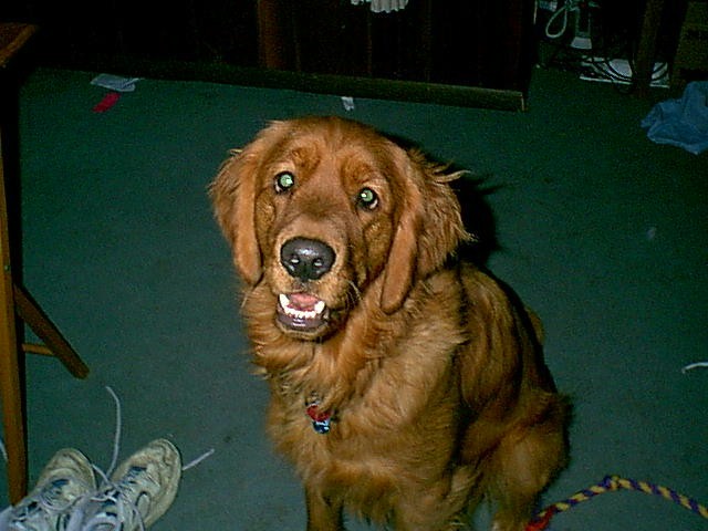 Jake