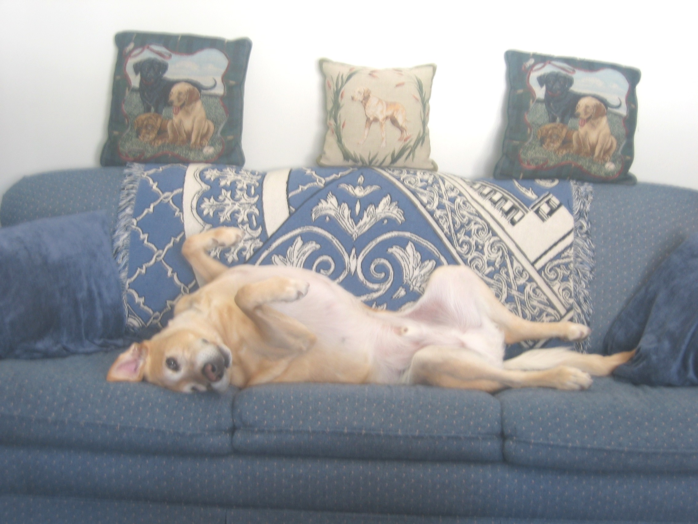 Ralph in Repose