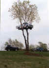 Hot Rod Heaven's Tree House