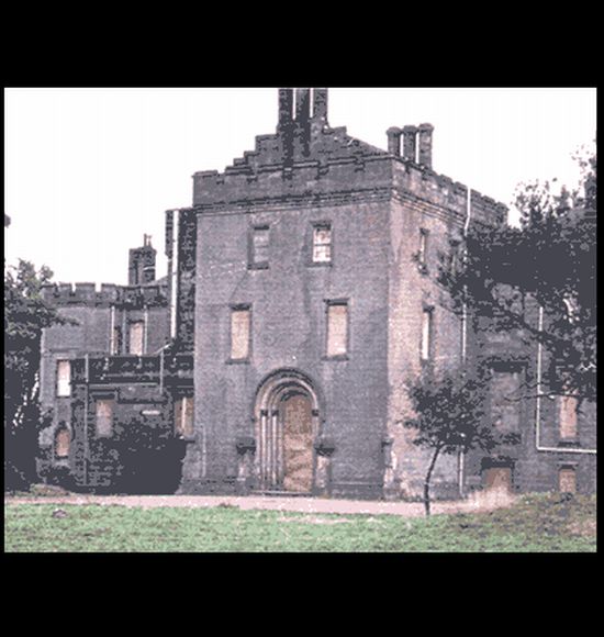 CASTLEMILK IN THE NEWS