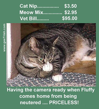 Trust me mr. sterile cat, you have a huge advantage over the rest of us now.