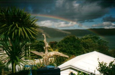 Rainbow Christmas 99 Hokianga