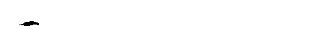 whale2