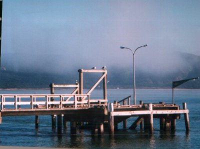 wharfwinter