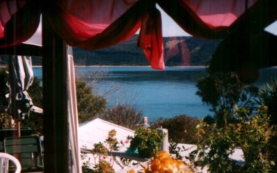 View from Living-room of House of Harmony onto the Hokianga