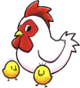 Chicken and chicks