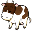 Cow