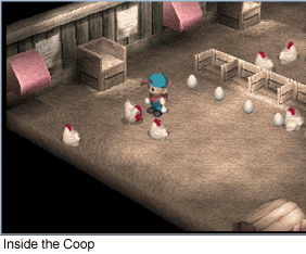Chicken coop