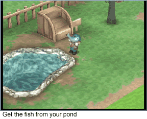 Fish pond