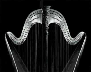 Harp Shadow