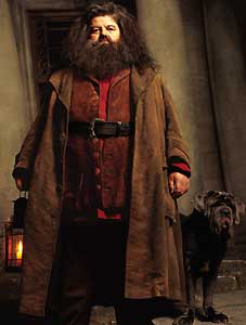 Hagrid and Fang
