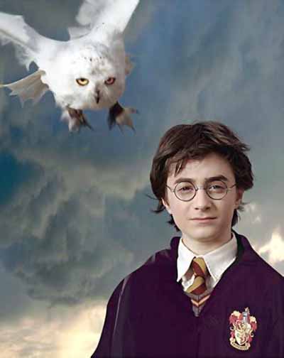 Harry Potter and Hegrid