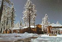 LTCC in the snow