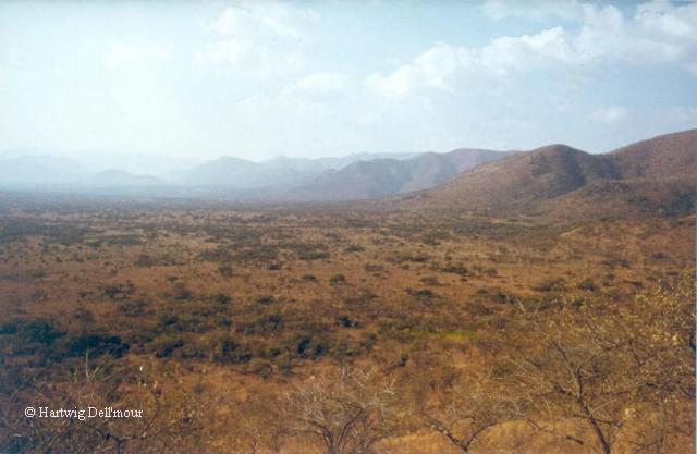View some of the animals that roam the South East African savannahs