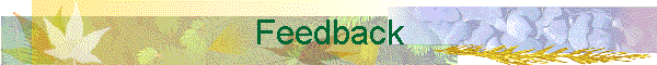 Feedback